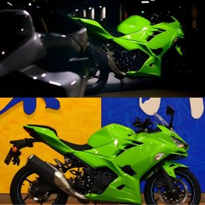 Kawasaki-Ninja-400-Special-Green-Custom-Painted-Fairings-Side-View