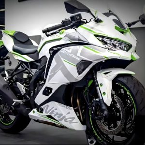 Kawasaki ZX4RR Complete Bodywork Fairing Kit Dreamy Star Custom Paint