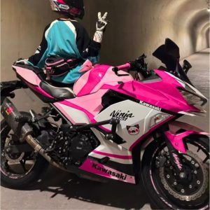 Kawasaki Ninja 400 replacement fairings pink and white custom paint installed